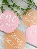 Acrylic Baby Monthly Milestone Discs, 12 Month Set + "hello world"